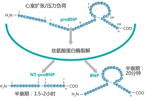 1723771613837866.jpg 微信圖片_20240816090931.jpg